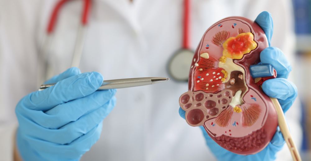 Visita Specialistica in Nefrologia Medical Group - Formato Mobile